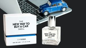 Portfolio_Carvana_main (1)-png copy
